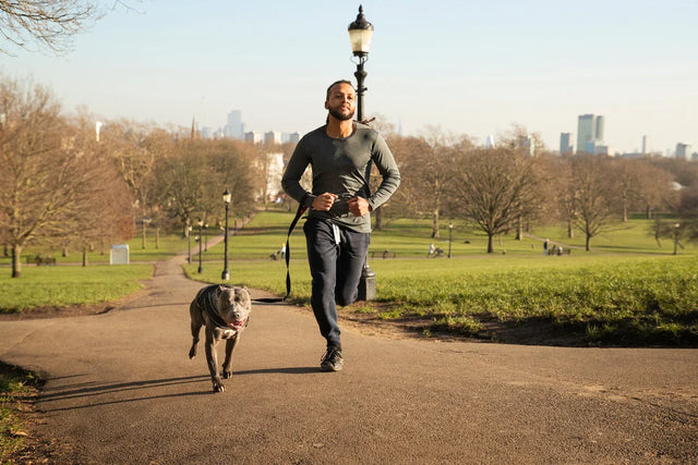 Hardlopen met je hond