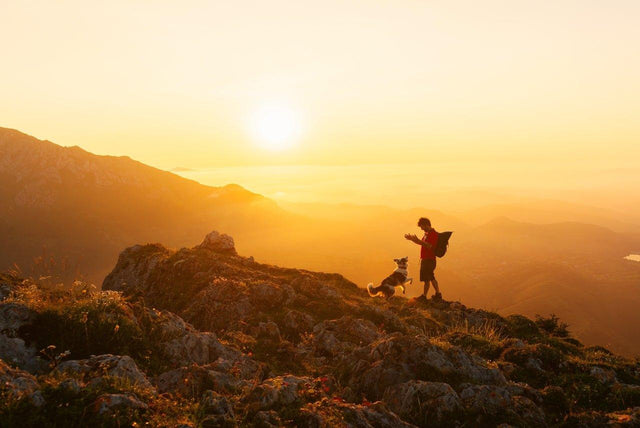 Hiken & wandelen met je hond - Fidello