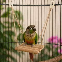Schommels voor vogels