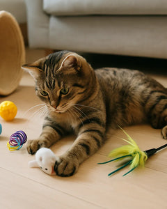 Speelgoed voor katten