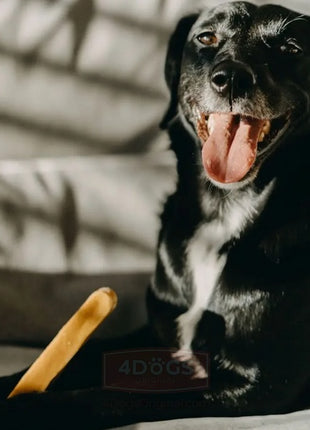 4DOGS Gryzak z sera himalajskiego Churpi Original M