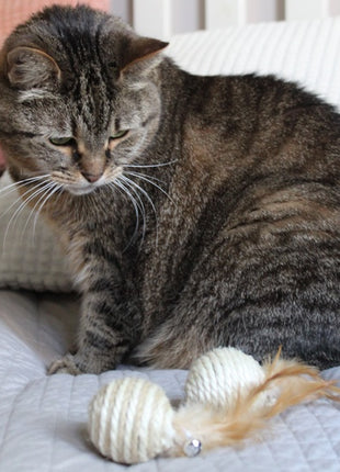 Dingo Piłki sizalowe 2szt