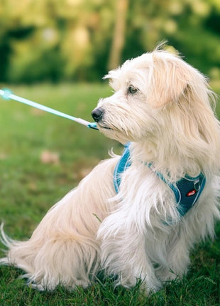 Zolux Szelki oddychające z siatki XL granatowe