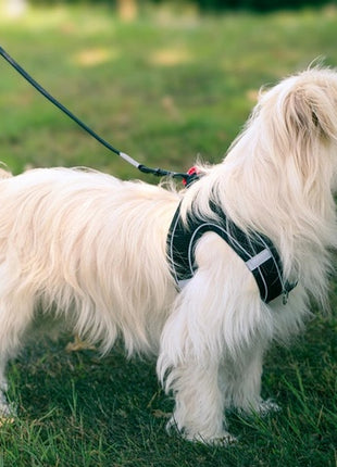 Zolux Szelki oddychające z siatki XL czarne