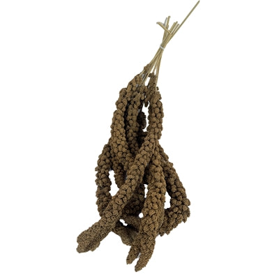 Merkloos Trosgierst Chinees