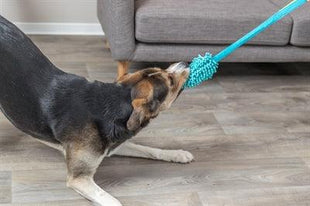 Trixie Bungee Dummy Polyester Petrol