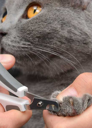 Catit Bürsten-Set für Kurzhaarkatzen