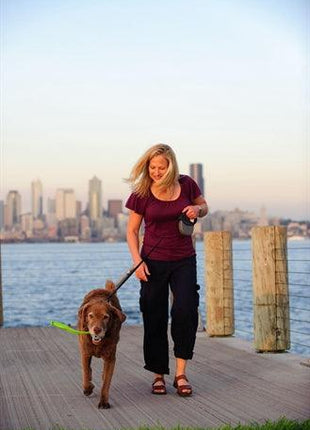 Chuckit The Whistler