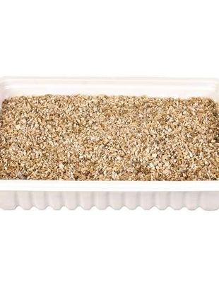 Trixie Katzengras-Schale, ca. 100 g