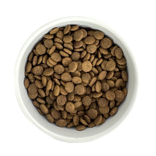 Ração Económica Premium para Gatos Idosos e Castrados – 1 kg