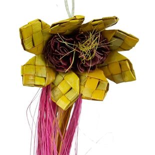 Back Zoo Nature Sunflower