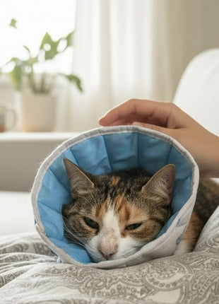 Grande Finale Kołnierz pozabiegowy z tkaniny rozmiar 7 niebieski [WET/KT/7(XXXXL)]