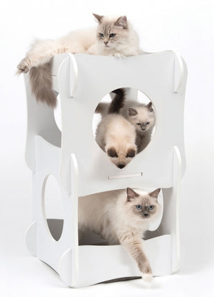 Vesper Katzenhaus Condo