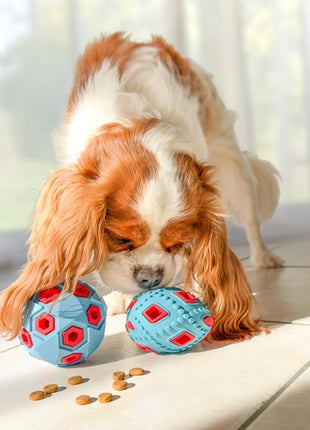 Zolux Zabawka na przysmaki do aportowania piłka 8cm