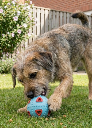 Zolux Zabawka na przysmaki do aportowania jajko 8cm