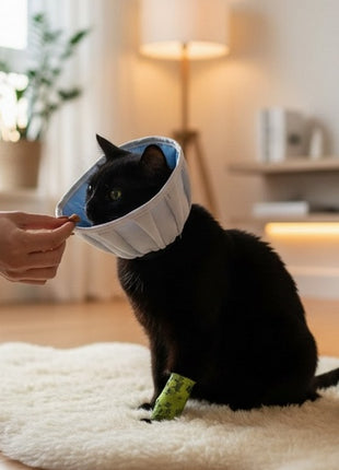 Grande Finale Kołnierz pozabiegowy z tkaniny rozmiar 0 niebieski [WET/KT/0(XS)]