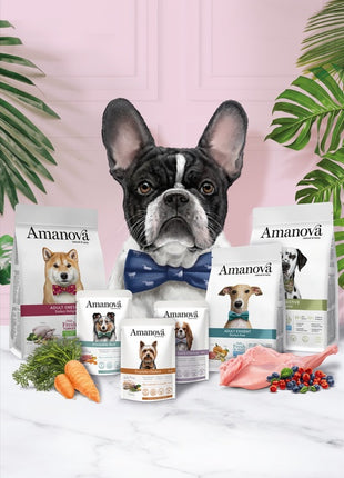 Amanova Dog Adult Mini Sensitive Salmon Deluxe - łosoś 2kg