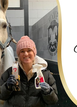 Excellent Horse Grooming Brush Zwart