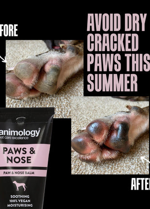 Animology Paws & Nose Balm 50 ml