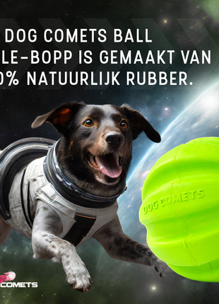Dog Comets Hale Bopp Met Touw Groen