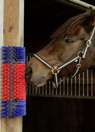Borstel voor Paard, Rund, Geit