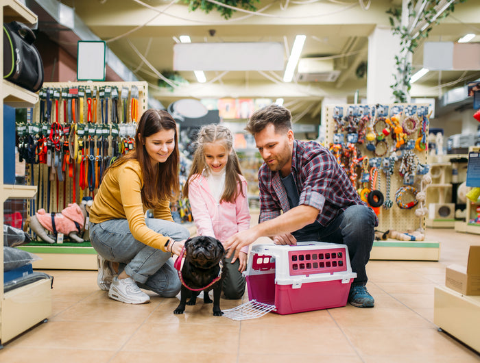 <h1>
<strong>Tudo para o seu animal de estimação</strong> , escolhido com amor e carinho.</h1>