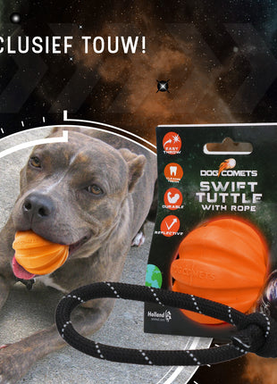 Dog Comets Swift Tuttle Met Touw Oranje
