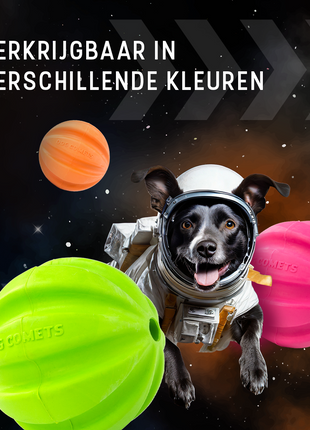 Dog Comets Swift Tuttle Met Touw Oranje
