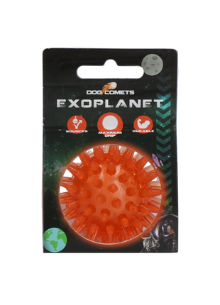 Dog Comets Exoplanet Egelbal Oranje
