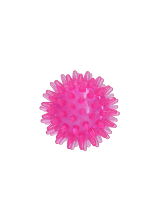 Dog Comets Exoplanet Egelbal Roze