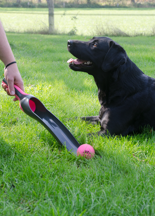 Dog Comets Star Launcher Roze