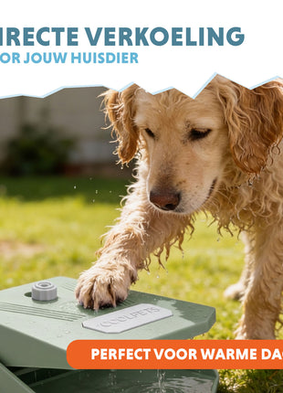 Coolpets Splash Water Fountain Olijfgroen