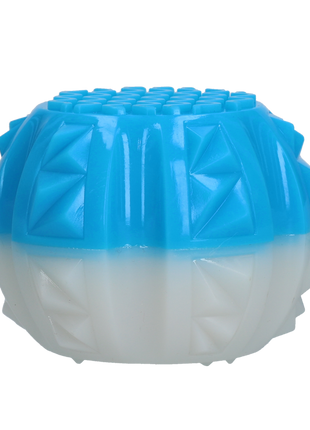Coolpets Ice Ball