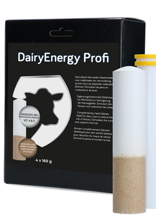 Dairy Energy Bolus 4 x 160 g