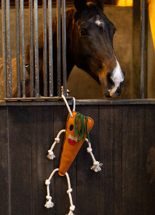 Excellent Horse Foodie Friends Carrot