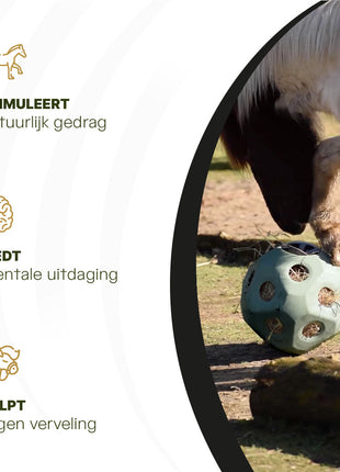 Excellent Horse Feed & Play Ball Groen