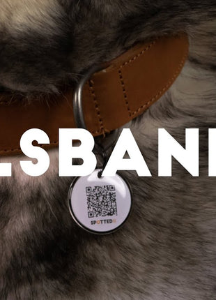 Spotted! Pro Leren Halsband 50 cm - Bruin