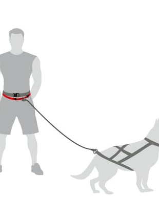 Dingo Pas do biegania Profi - 4 możliwości zapinania