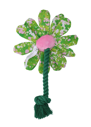 Garden Paws Flower Summer Shrubs