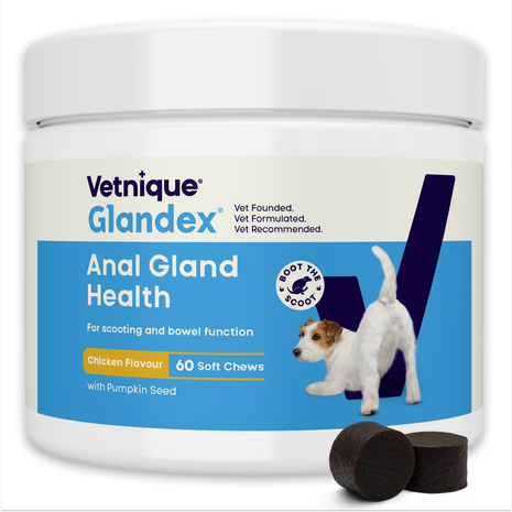 Glandex Soft Chews Kip 60 treats (240 g)