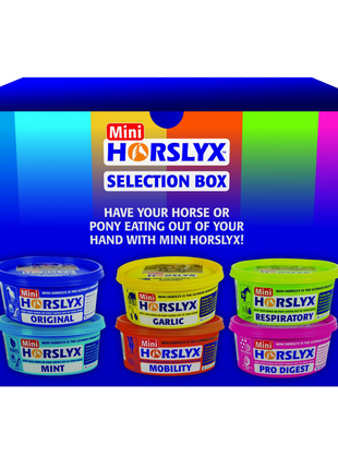 Horslyx Mini Selection Box 6 x 650 g