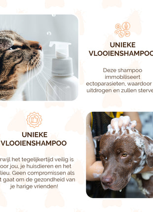 Knock Pest Vlooienshampoo