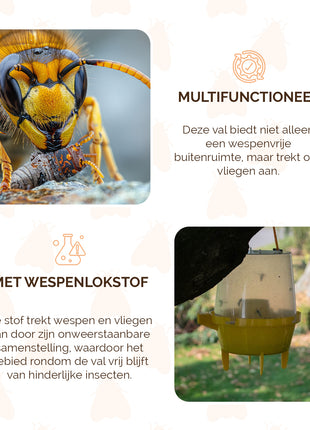 Knock Pest Wespenval