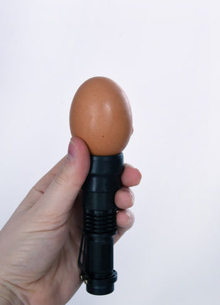 Led-schouwlamp