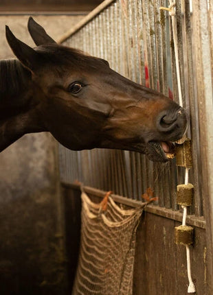 Lax Luzerne aan Speeltouw voor Paarden