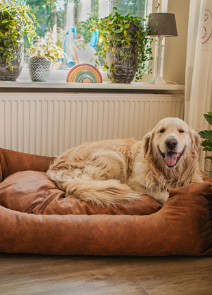 Let's Sleep Sweet Dreams Hondenmand Met Kussen Cognac