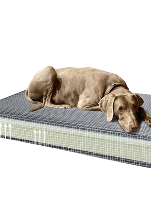 Madison Orthopedisch Kussen Velvet Oranje S