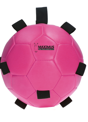 Excellent Horse Fun Play Ball Roze