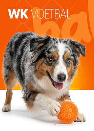 Oranje Egelbal M