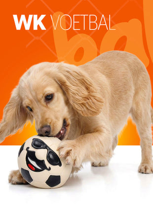 Oranje Mr WK Soccer